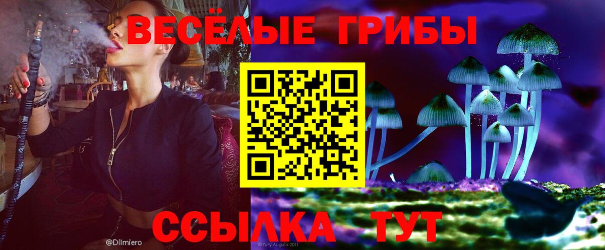 наркошоп  Псилоцибиновые грибы GOLDEN TEACHER  Вход с VPN  Галлюциногенные грибы ЛСД  Северобайкальск 