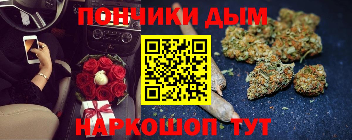 Бошки Шишки марихуана Северобайкальск